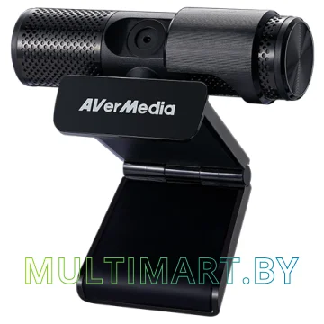 Веб-камера AverMedia Live Streamer 313 PW313